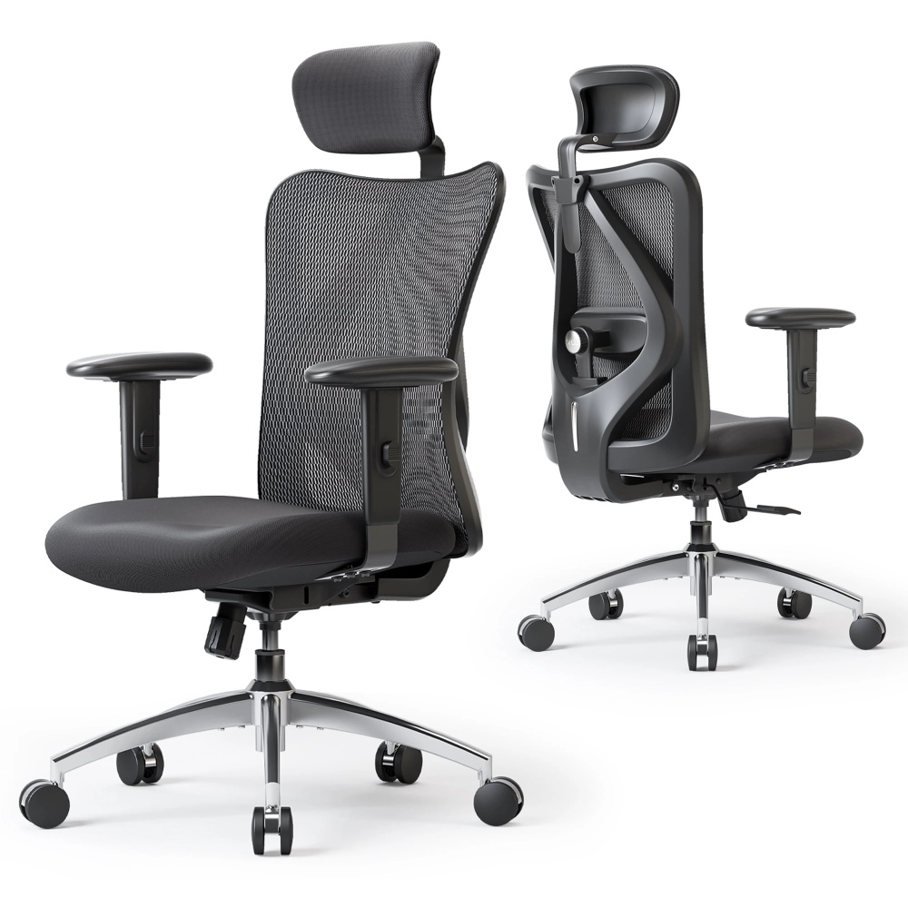 SIHOO M18 Office Chair, Mesh Computer Ergonomic Chair with Adjustable Lumbar Support, High Back Chair for Big and Tall